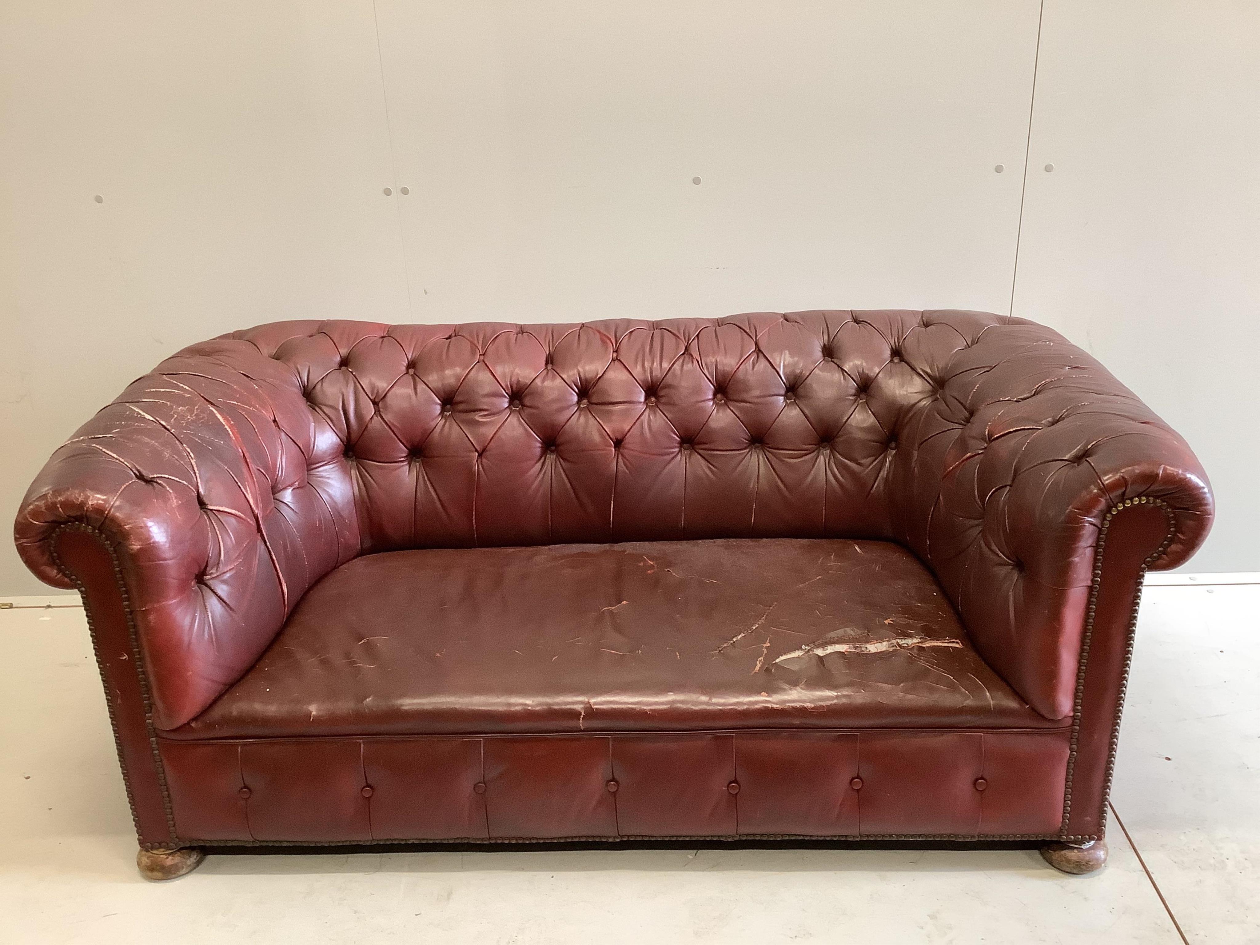 An early 20th century buttoned burgundy leather Chesterfield settee, width 165cm, depth 84cm, height 85cm. Condition - poor